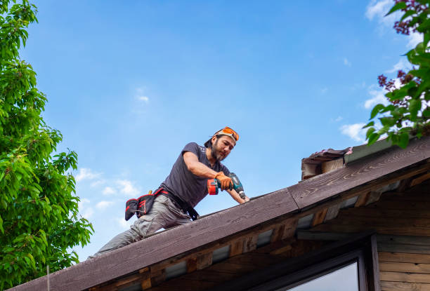 Best Metal Roofing Installation  in Baxter, TN