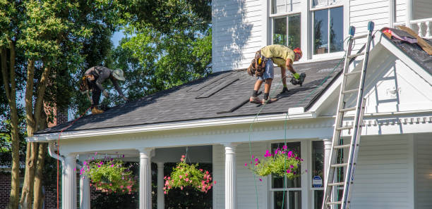 Best Roof Moss and Algae Removal  in Baxter, TN